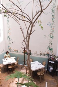 El restaurante Rosetta en la colonia Roma, una nueva opción entre los italianos El restaurante Rosetta en la colonia Roma, una nueva opción entre los italianos